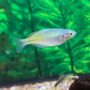 Meet your Posher, Tori